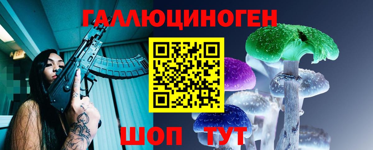 Псилоцибиновые грибы Psilocybe Бузулук