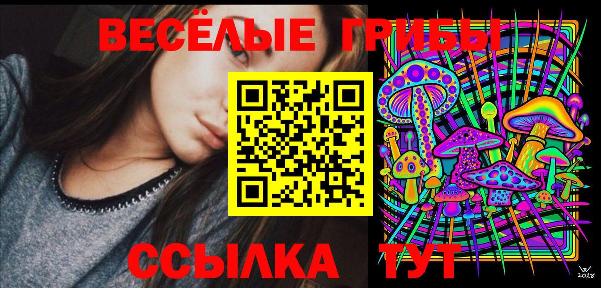 Бузулук  Псилоцибиновые грибы Psilocybine cubensis  Псилоцибиновые грибы GOLDEN TEACHER  Вход с VPN 